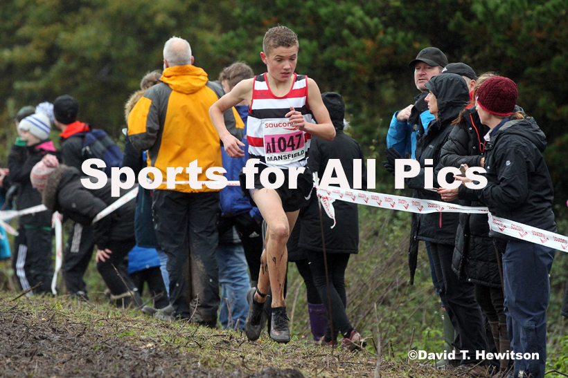 Boys under-15s, National Cross Country Relay Champs., Berry Hill Park, Mansfield.  Photo: David T. Hewitson/Sports for All Pics